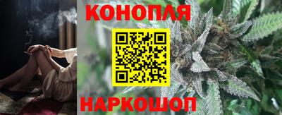 прущие грибы Кандалакша