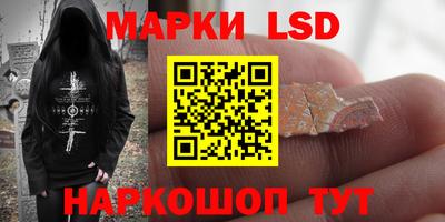 МДПВ Камышлов