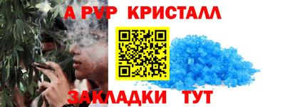 прущие грибы Кандалакша
