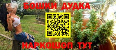 прущие грибы Кандалакша