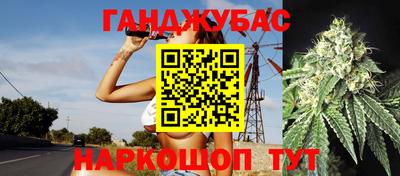 прущие грибы Кандалакша