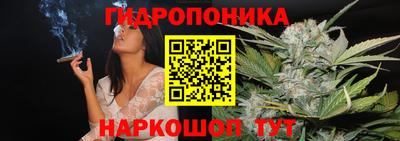 МДПВ Камышлов