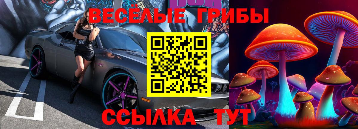 Галлюциногенные грибы MAGIC MUSHROOMS Владивосток